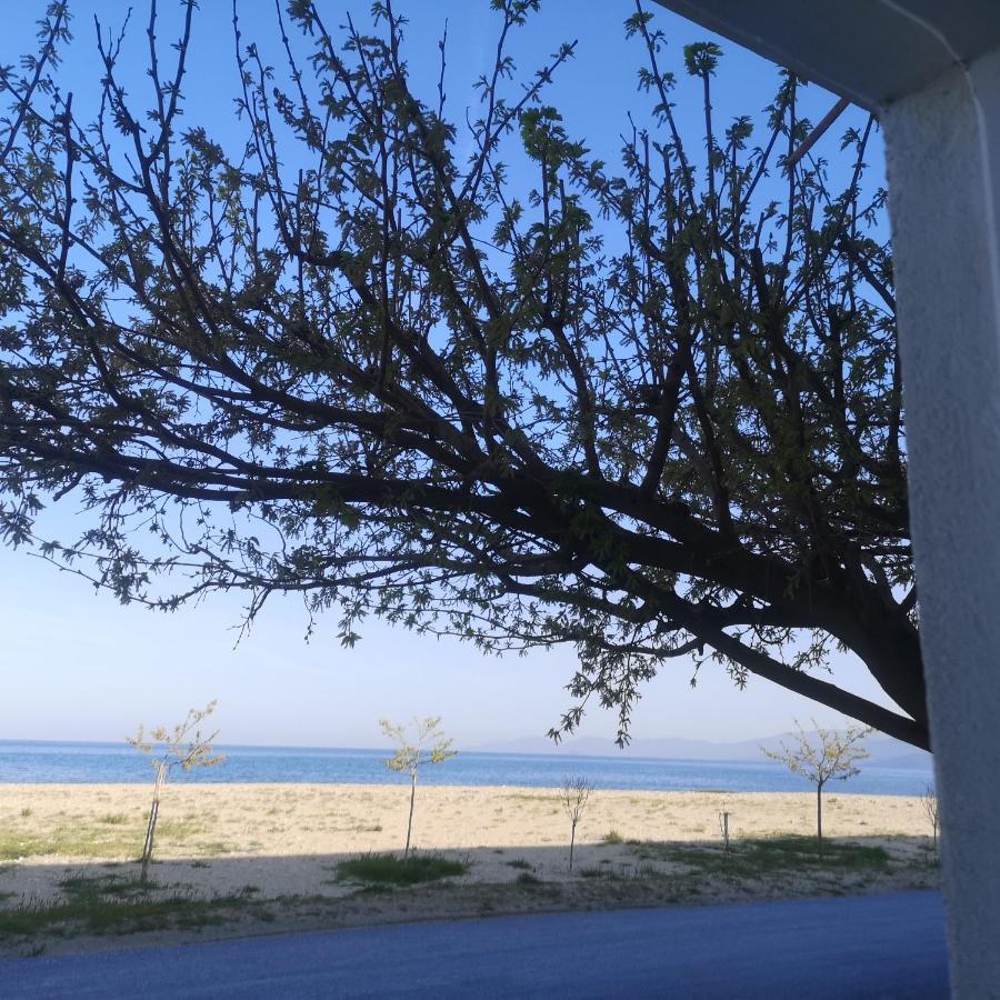 Greece Asprovalta Rooms Accomodation Apartment Hotel Petalo Eksteriør bilde